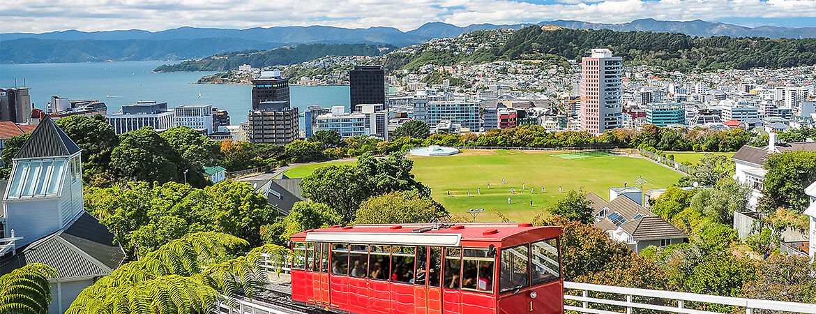 Die 7 schönsten Sehenswürdigkeiten in Wellington für einen Camper-Stop