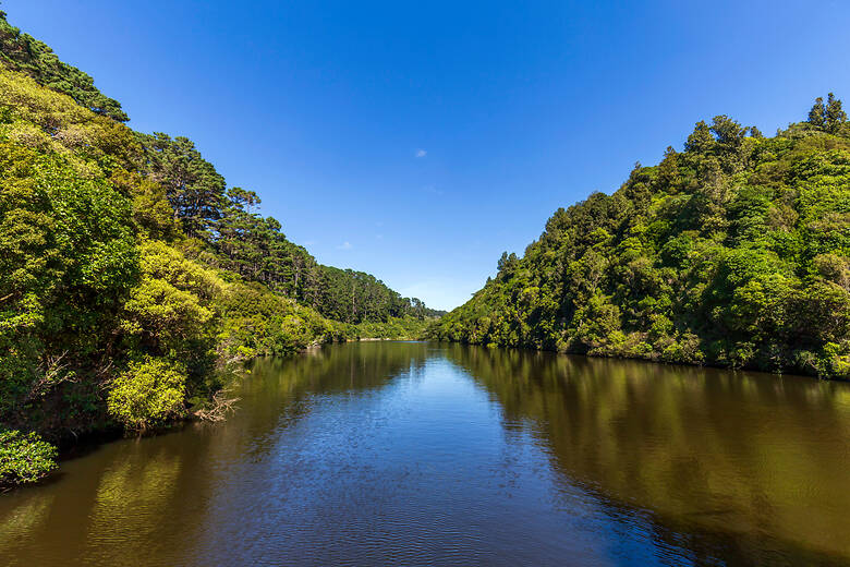 Zealandia Ecosanctuary in Wellington, Neuseeland 