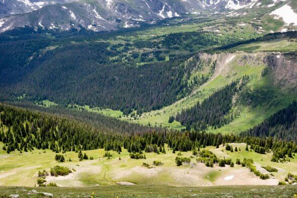 Rocky Mountain National Park – auf Tuchfühlung mit der Tier- und Pflanzenwelt