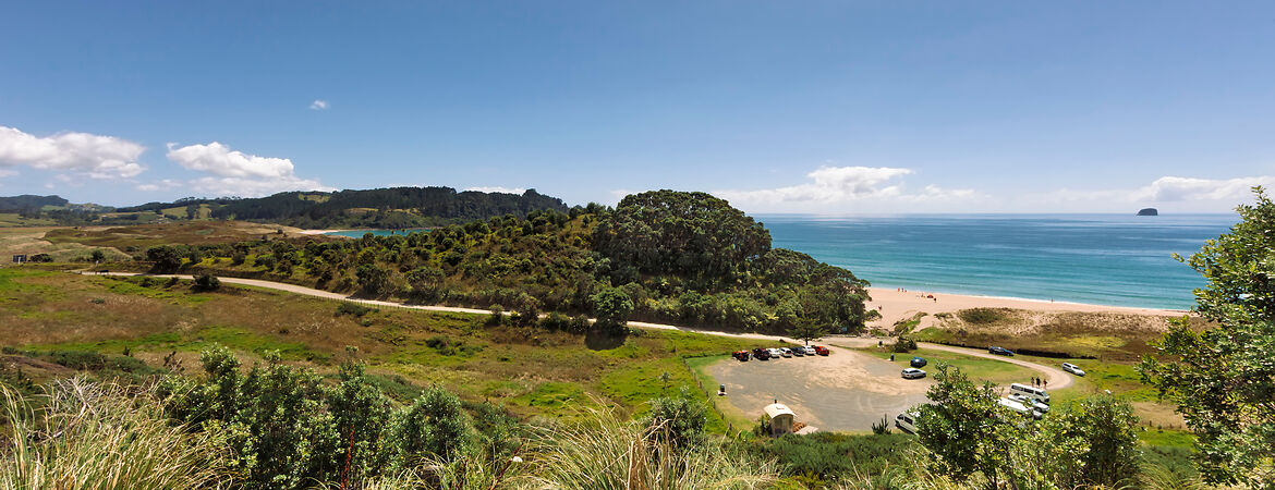 Unterwegs in Neuseeland: Sehenswürdigkeiten und Natur-Highlights rund um Auckland