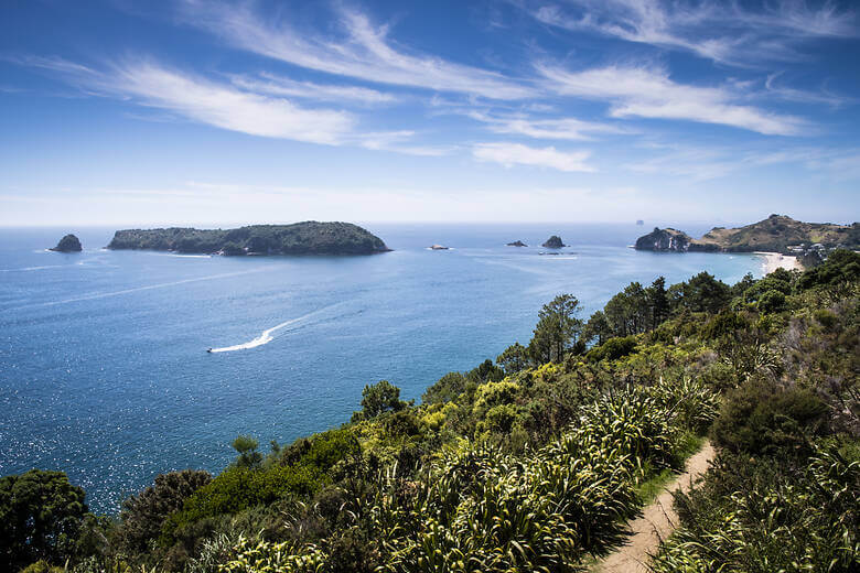 Blick von der Halbinsel Coromanel in Neuseland auf das Meer