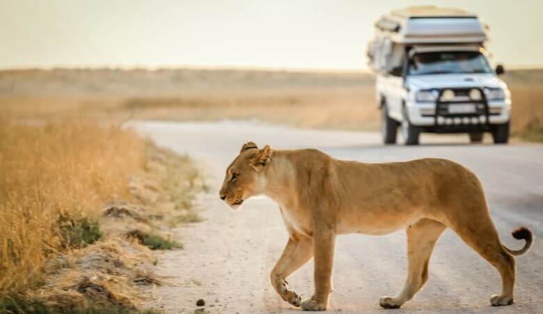 Wohnmobil-Safari in Namibia