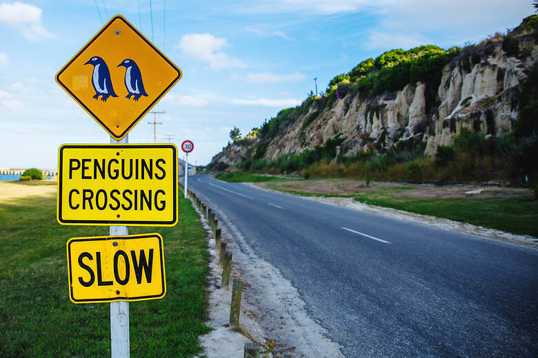 Schilder warnen vor Pinguinen auf den Straßen von Neuseeland