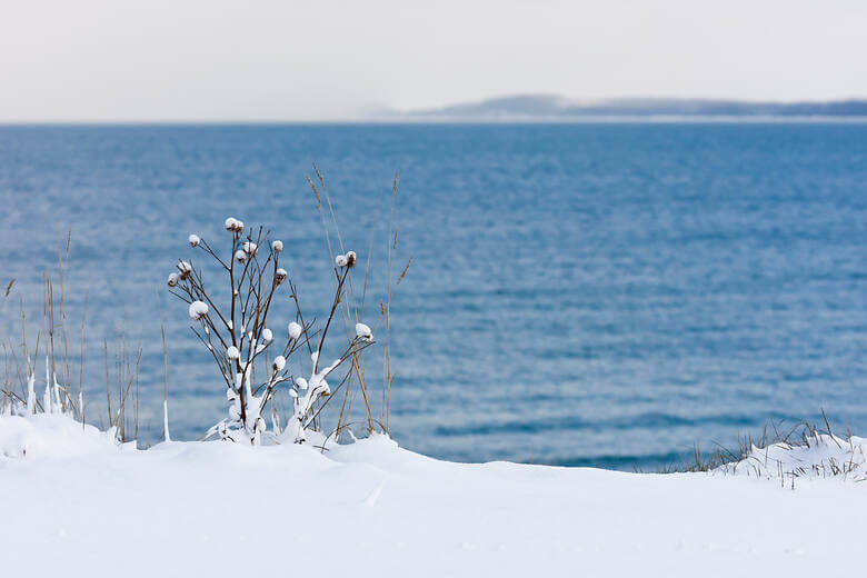 Winterliche Steilküste der Ostsee