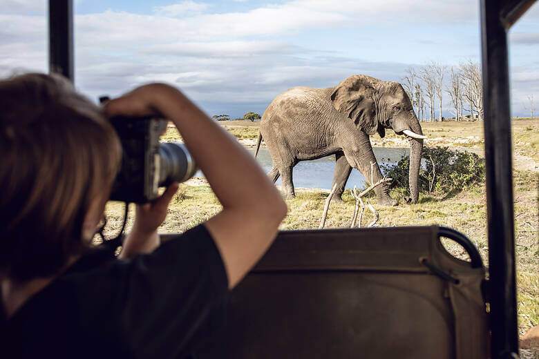 Mädchen beobachtet einen Elefanten auf Safari in Südafrika