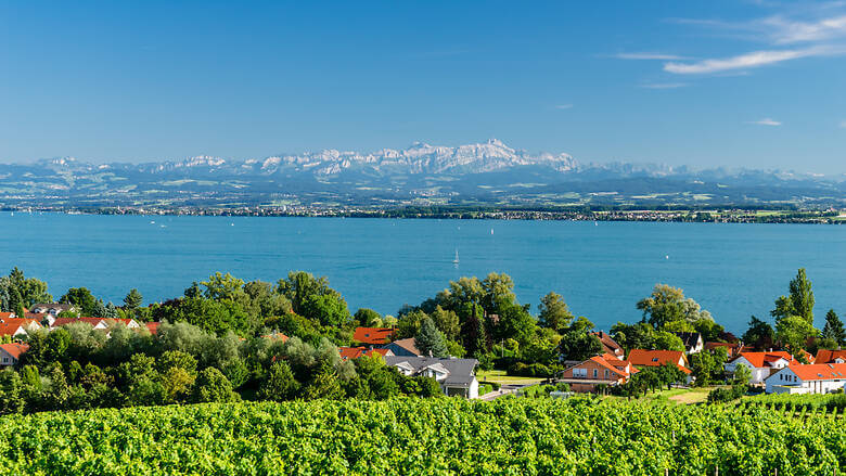 Blick über den Bodensee auf den Säntis in der Schweiz