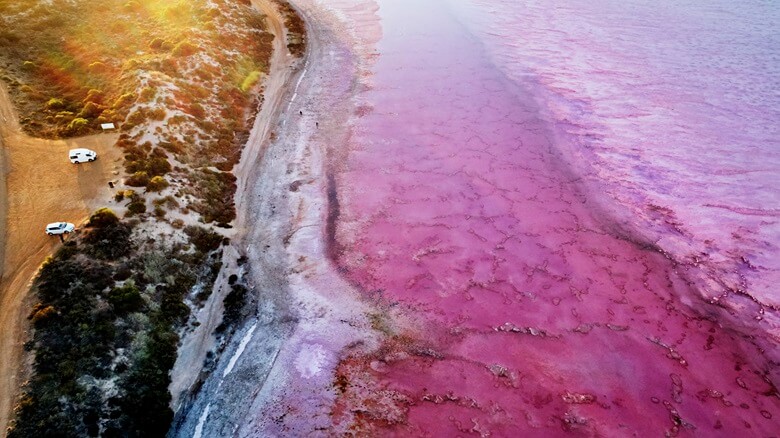 Wohnmobile parken an der pinkfarbenen Lagune in Westaustralien