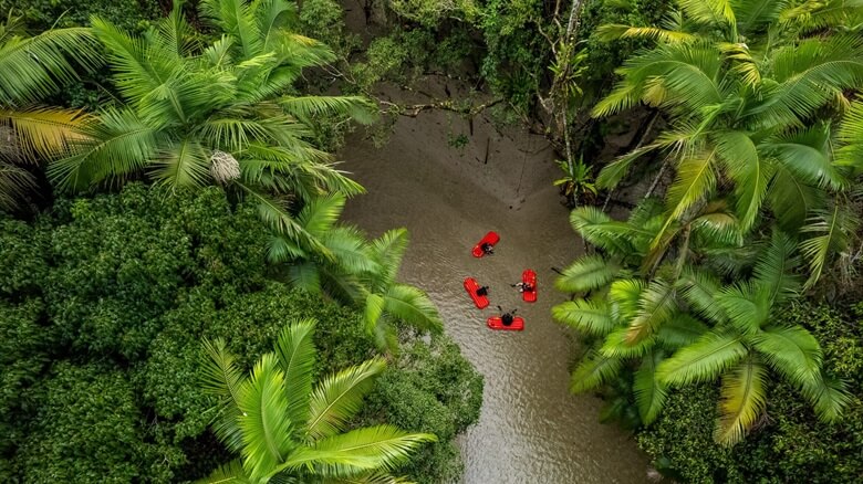 Menschen floaten auf dem Mossmann River im Regenwald