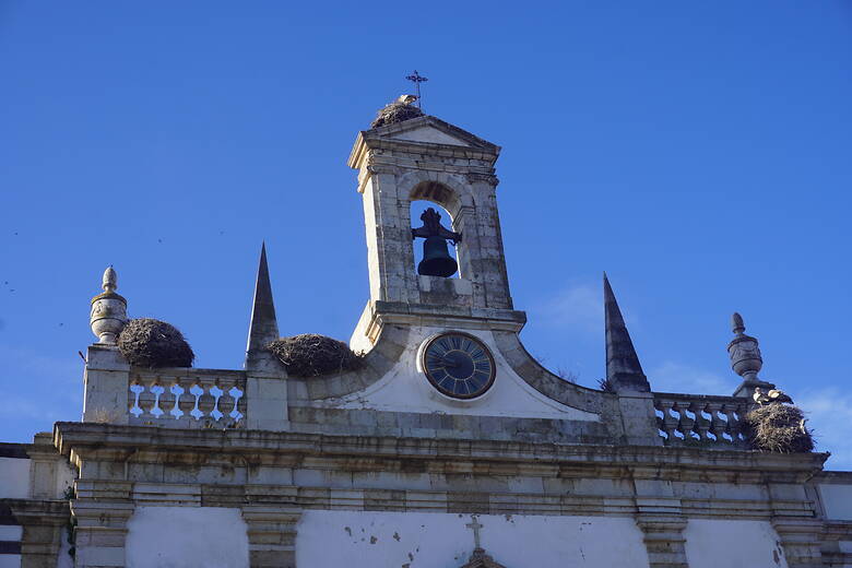 Storchennest auf einem Kirchturm in Faro