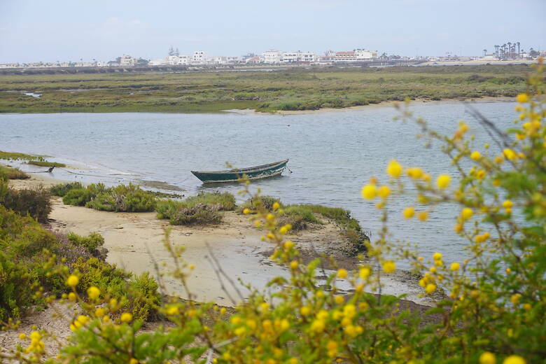 Lagunengebiet vor der Stadt Faro an der Algarve