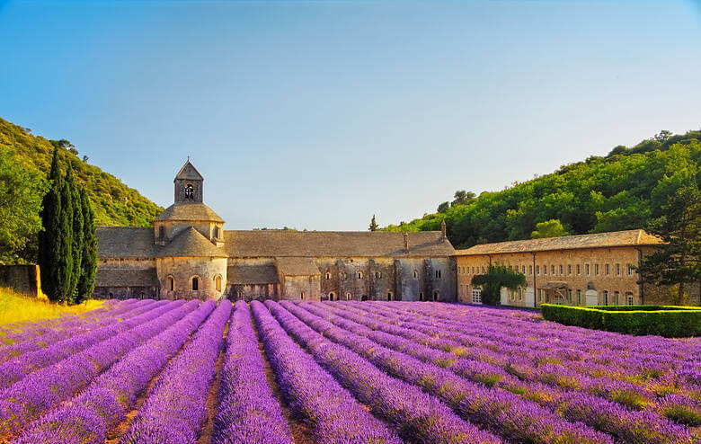 Altes Kloster in der Provence mit Lavendelfeldern