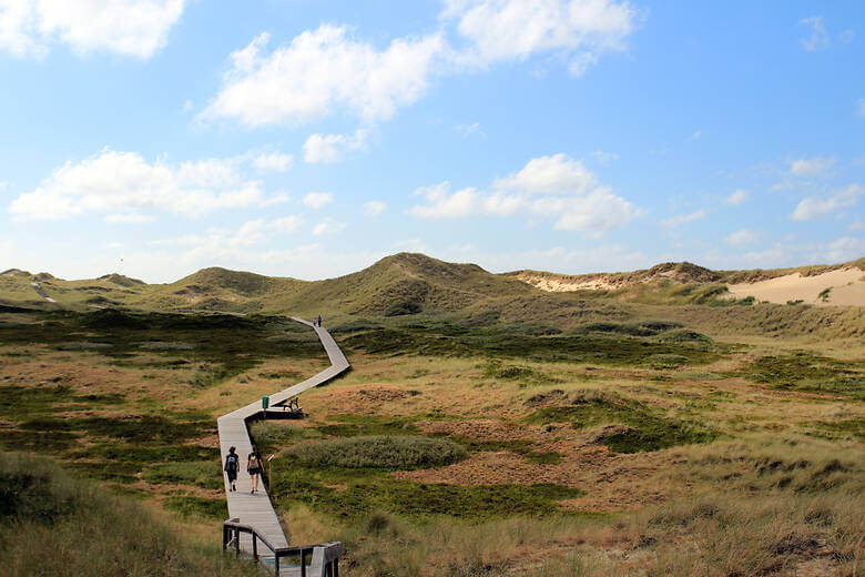 Dünenlandschaft bei Sommerwetter auf Amrum mit Spaziergängern auf Holzweg