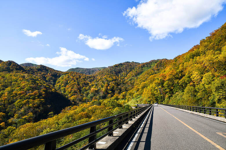 Straße mit Laubfärbung im Shiretoko-Nationalpark in Japan