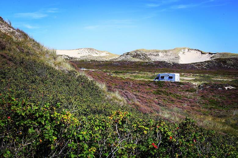 Wohnmobil in einer Heidelandschaft an der Nordsee