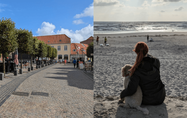 Häuschen in Ringkøbings und Frau mit Hund an einem Strand in Dänemark