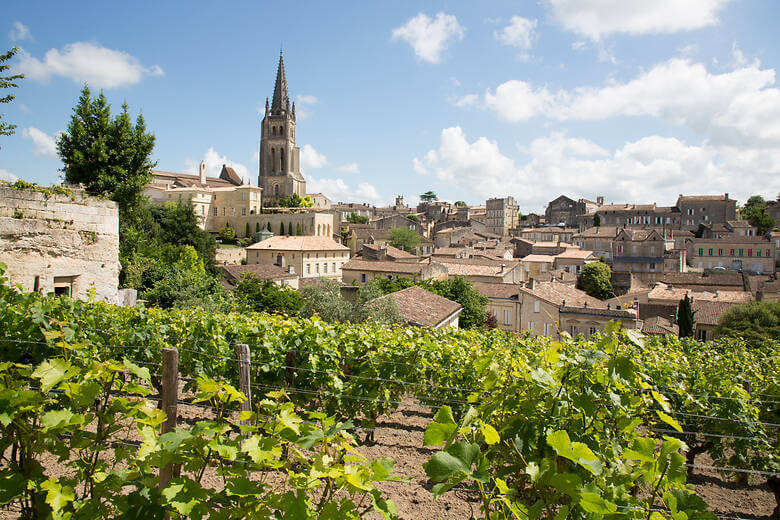 Weinreben und mittelalterliche Stadt in der Region Bordeaux